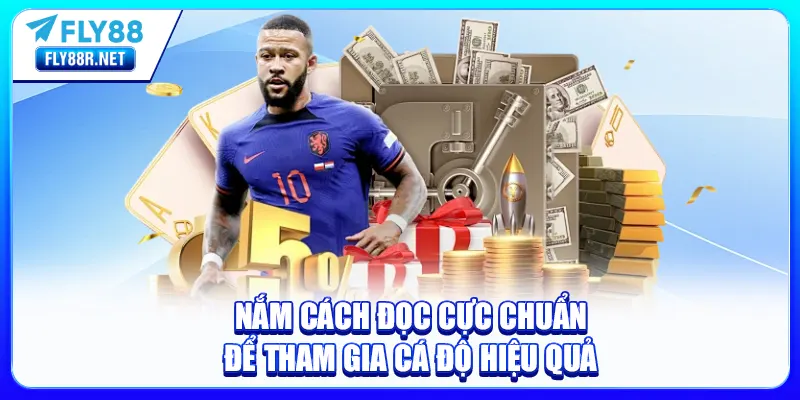 Nắm cách đọc cực chuẩn để tham gia cá độ hiệu quả