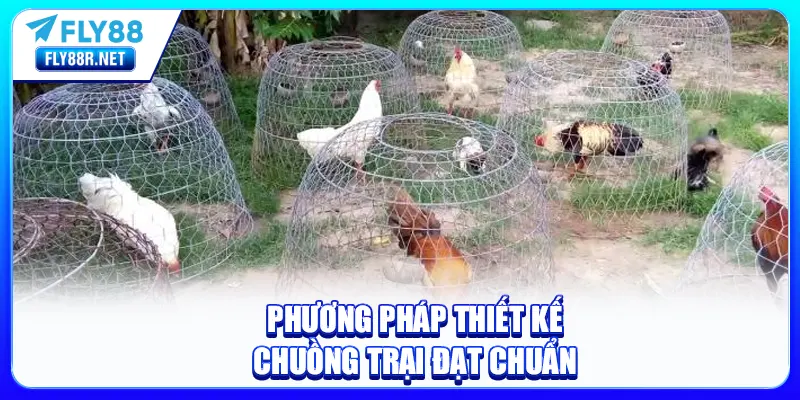 Phương pháp thiết kế chuồng trại đạt chuẩn