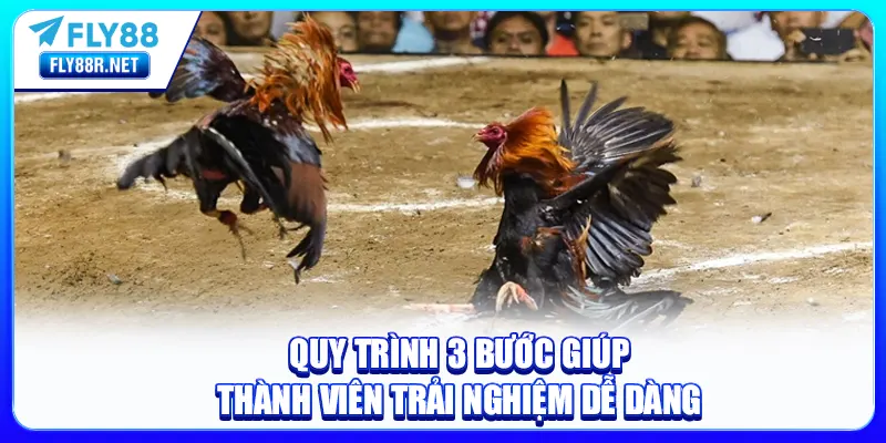 Quy trình 3 bước giúp thành viên trải nghiệm dễ dàng