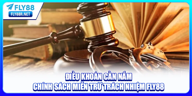 Điều khoản cần nắm chính sách miễn trừ trách nhiệm FLY88