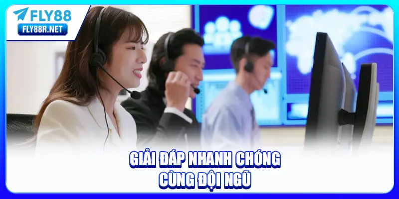 Giải đáp nhanh chóng cùng đội ngũ