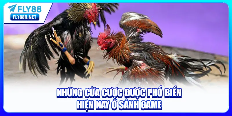 Những cửa cược được phổ biến hiện nay ở sảnh game
