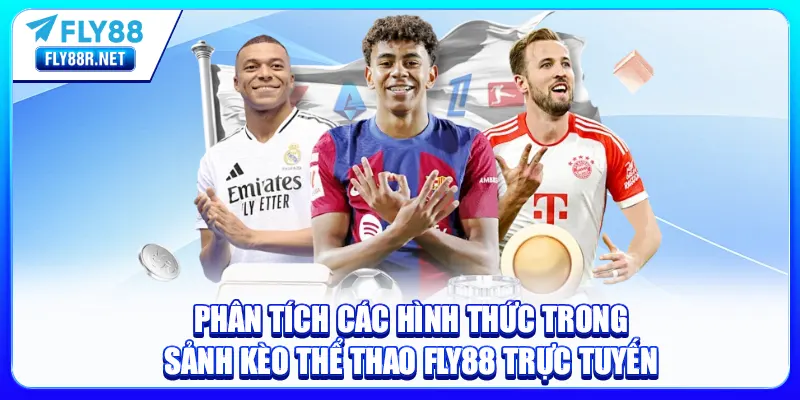 Phân tích các hình thức trong sảnh kèo thể thao FLY88 trực tuyến